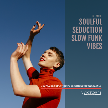 SOULFUL SEDUCTION SLOW FUNK VIBES na CD